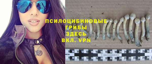 COCAINE Верея