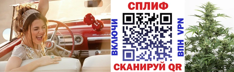 Канабис планчик  цена   Вятские Поляны 